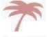 Island Passion Nail Polish